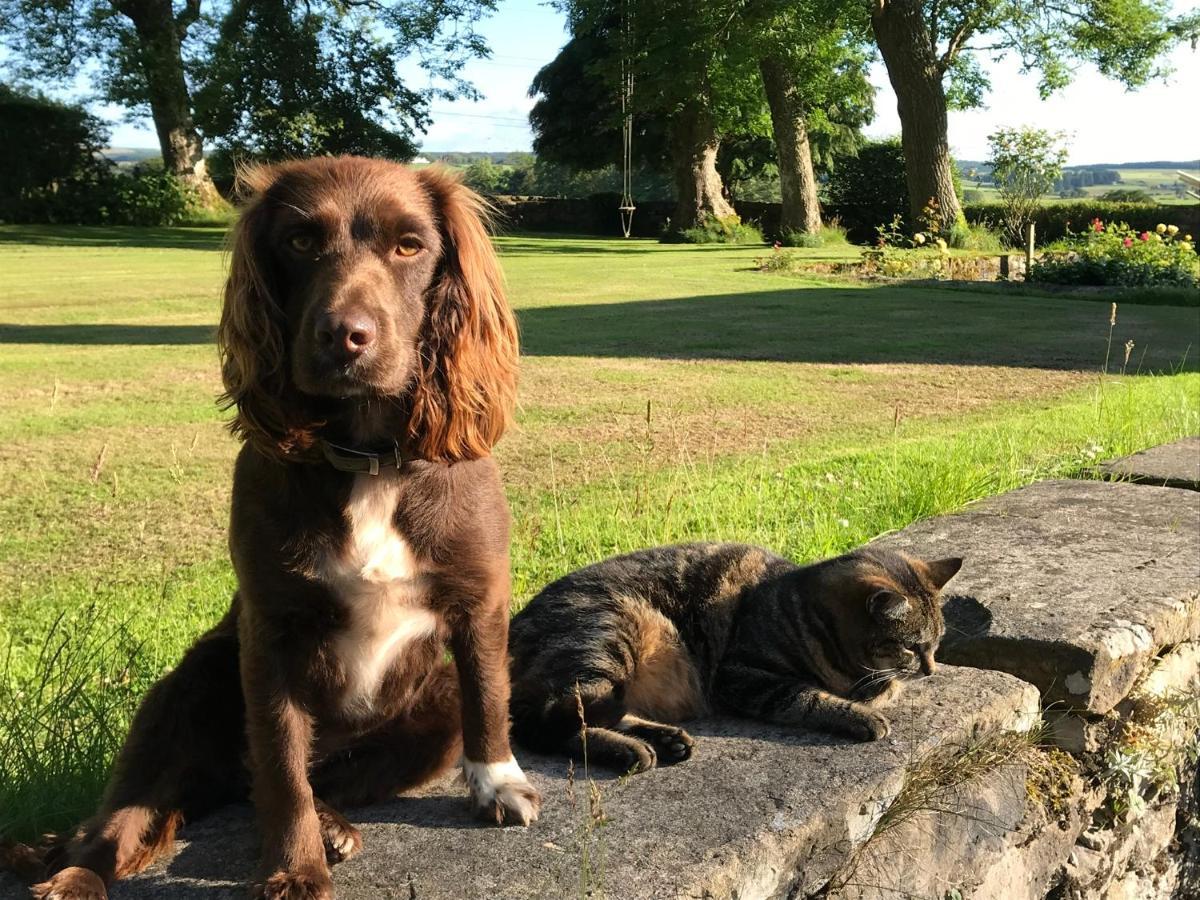 South Craighall B&B Eaglesham Luaran gambar
