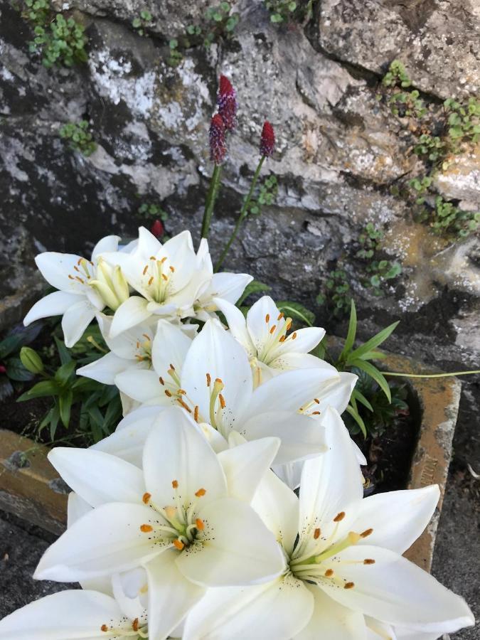 South Craighall B&B Eaglesham Luaran gambar