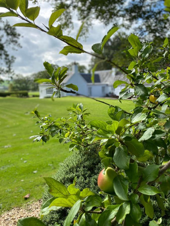 South Craighall B&B Eaglesham Luaran gambar