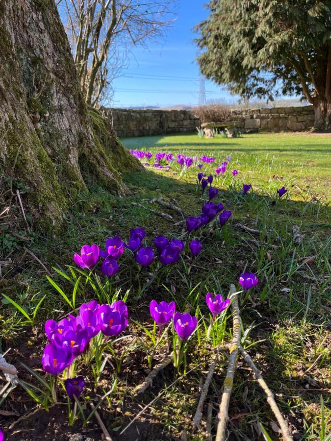 South Craighall B&B Eaglesham Luaran gambar