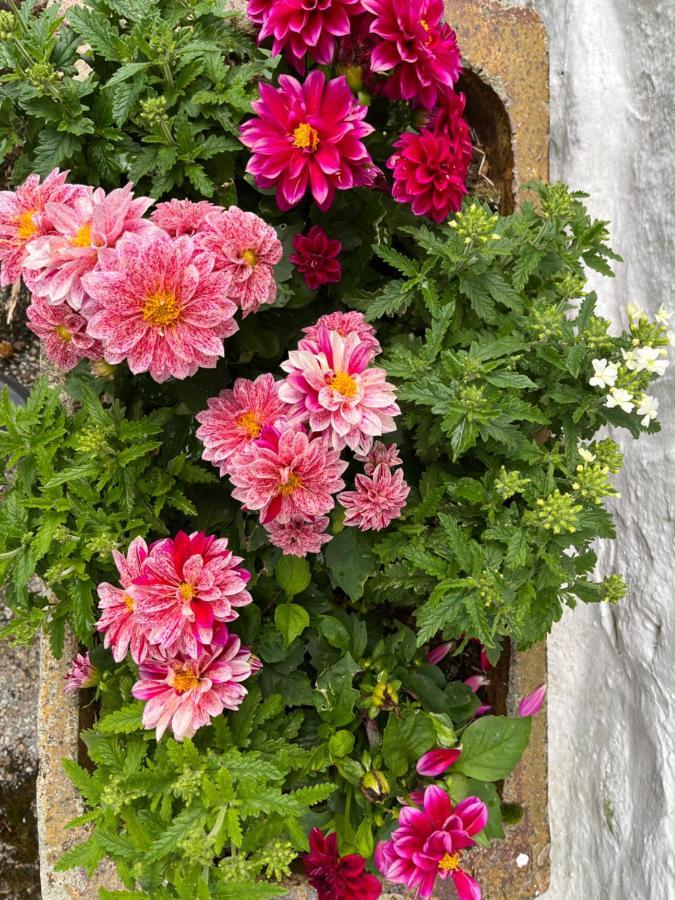 South Craighall B&B Eaglesham Luaran gambar