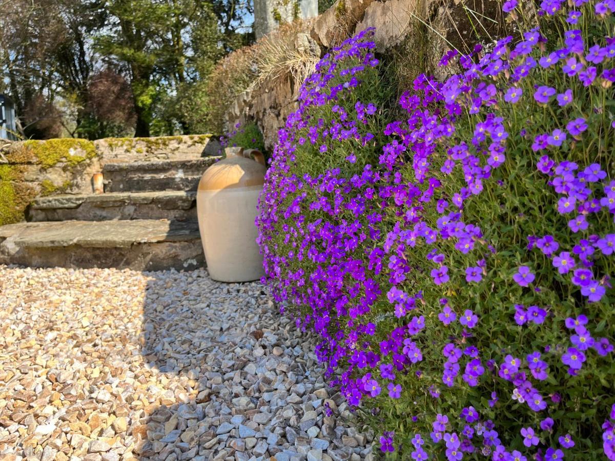 South Craighall B&B Eaglesham Luaran gambar